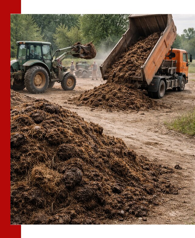 Доставка навоза самосвалами в Ханты-Мансийске для сельхозпотребностей