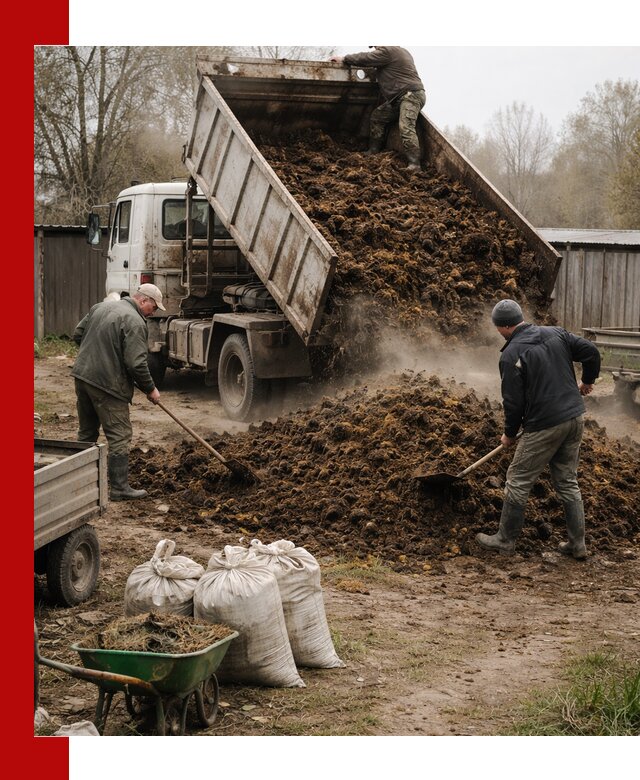 Доставка коровьего навоза самосвалом в Ханты-Мансийске